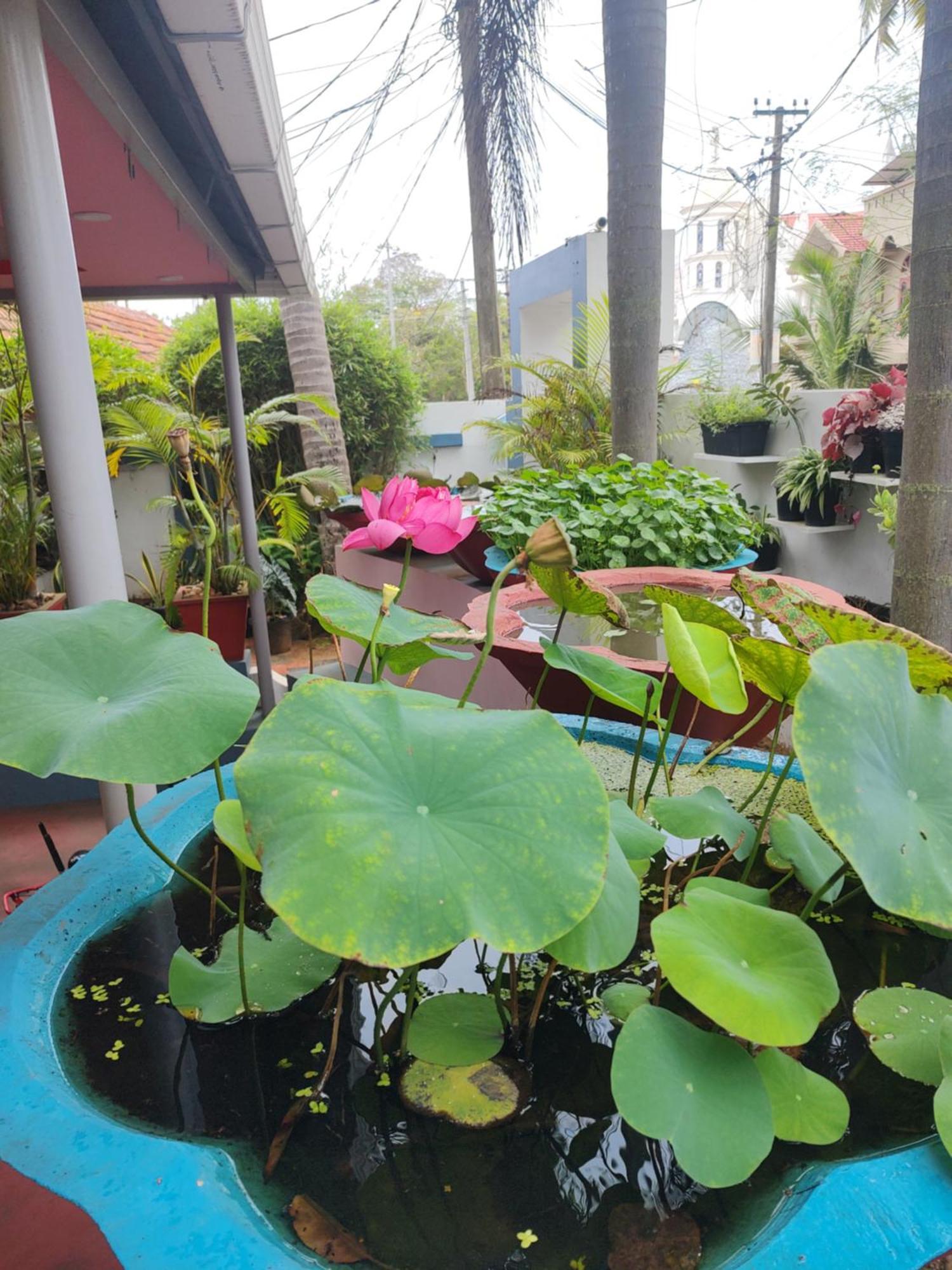 Mary Land Homestay Thiruvananthapuram Exterior photo